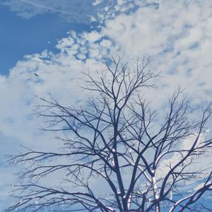 婷婷激情丁香六月开心五月
