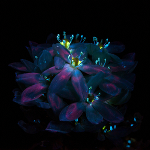 婷婷激情丁香六月开心五月
