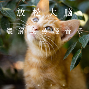 婷婷激情丁香六月开心五月
